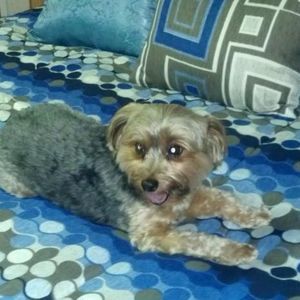 Meet your Posher, Judy